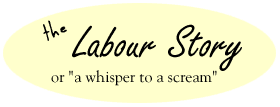 the labour story